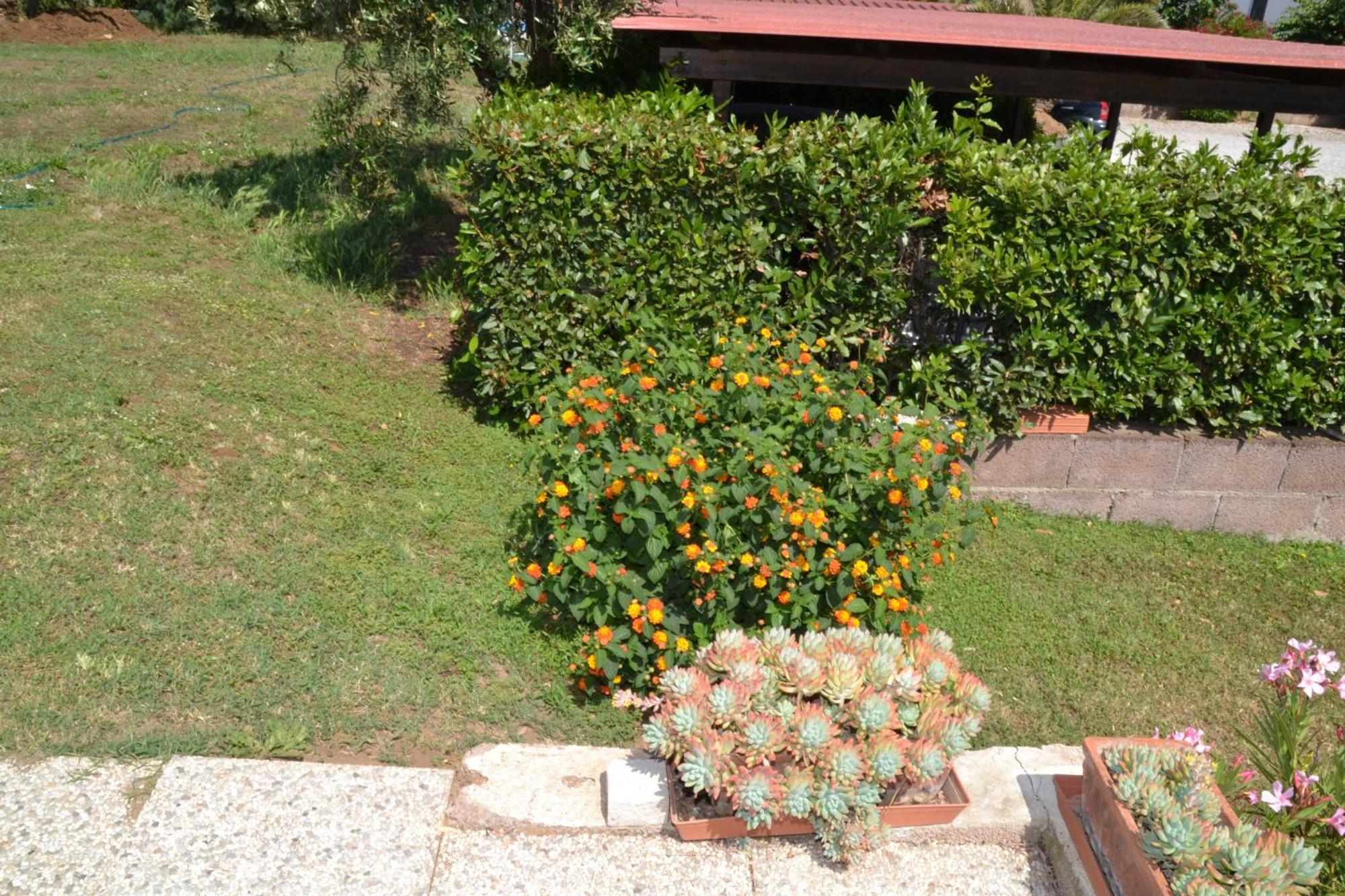 La Mimosa Bolgheri Exterior foto