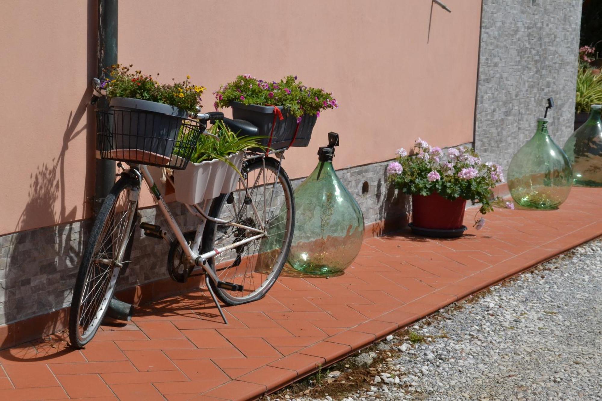 La Mimosa Bolgheri Exterior foto